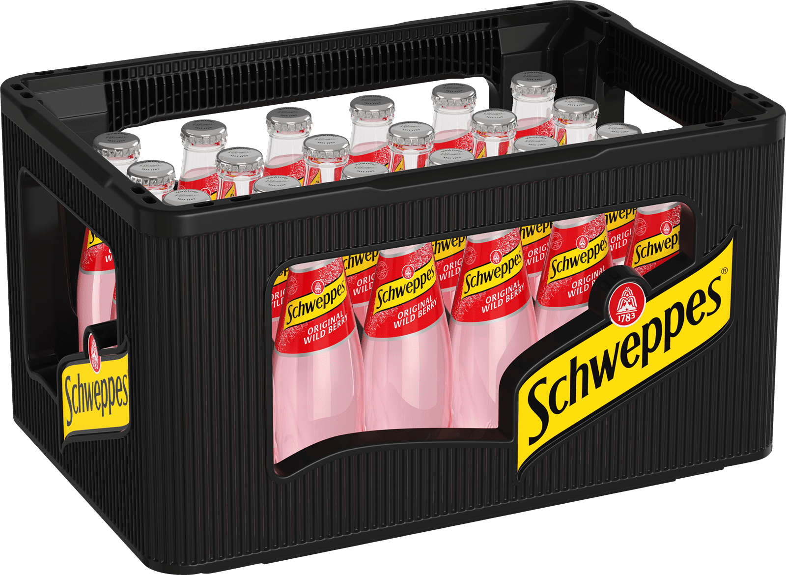 Schweppes Original Wild Berry Glas (24 x 0.2 l)
