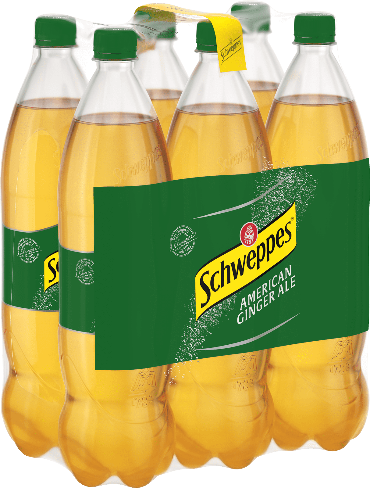 Schweppes Ginger Ale PET-EW (6 x 1.25 l)