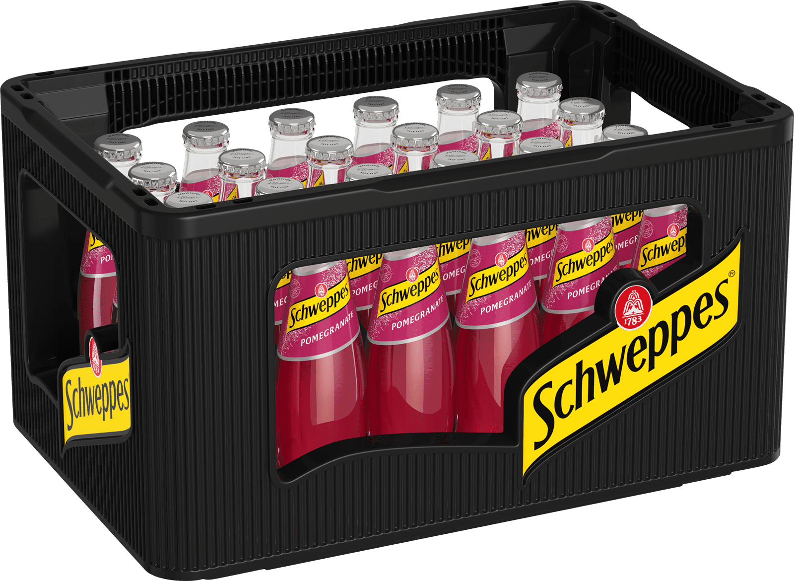 Schweppes Pomegranate Glas (24 x 0.2 l)