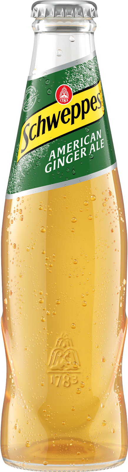Schweppes American Ginger Glas (1 x 0.2 l)