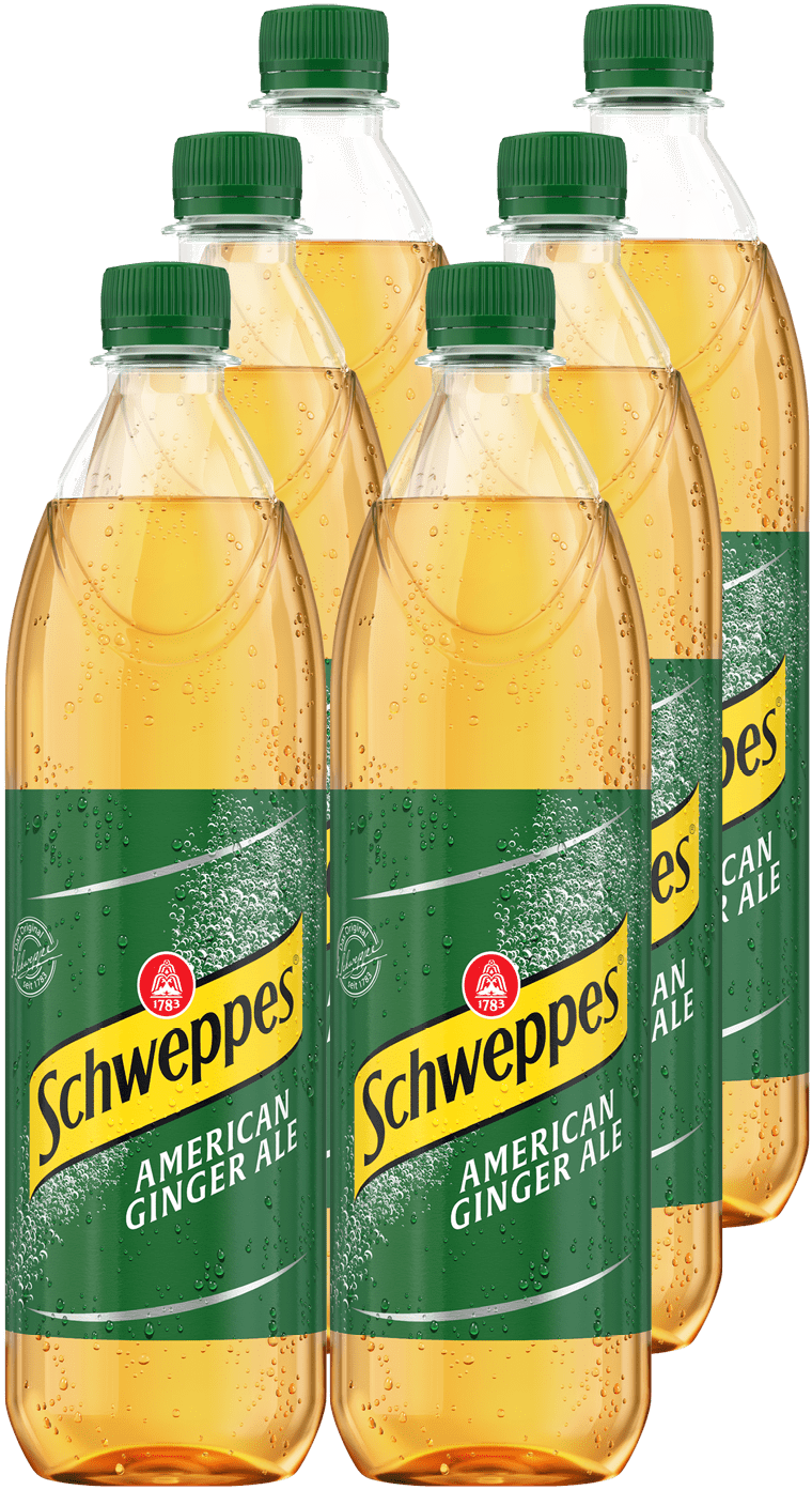 Schweppes Ginger Ale PET (6 x 1.0 l)