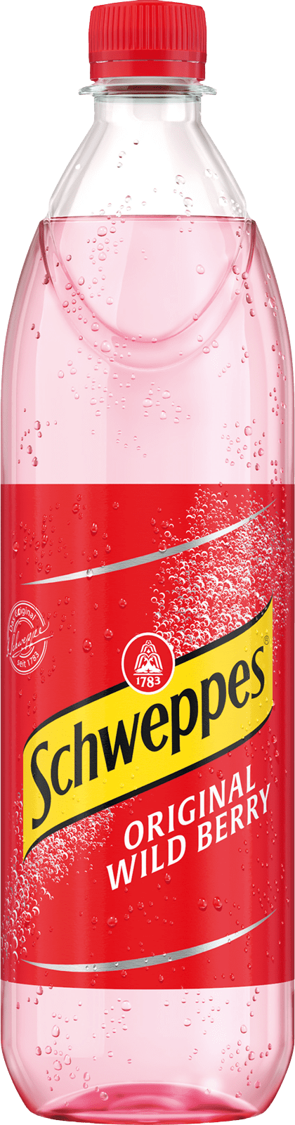 Schweppes Russian Wild Berry PET (1 x 1.0 l)