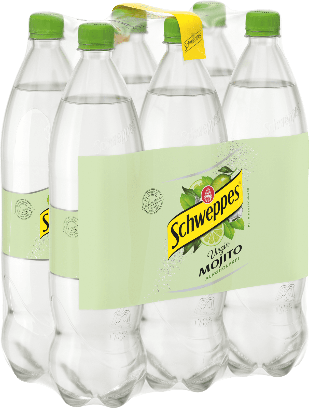 Schweppes Indian Virgin Mojito PET-EW (6 x 1.25 l)