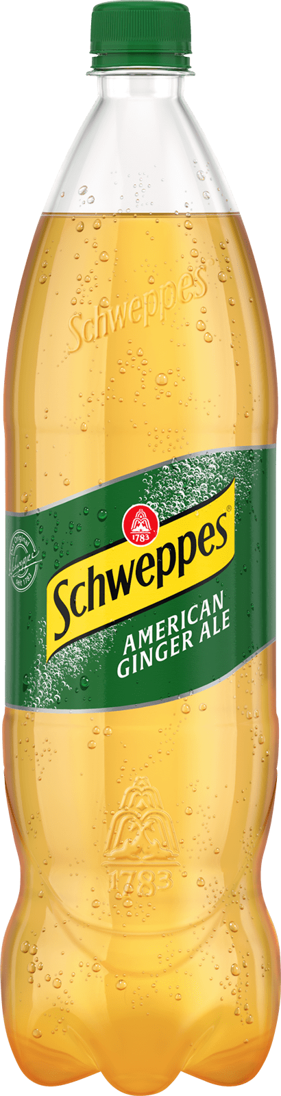 Schweppes Ginger Ale PET-EW (1 x 1.25 l)