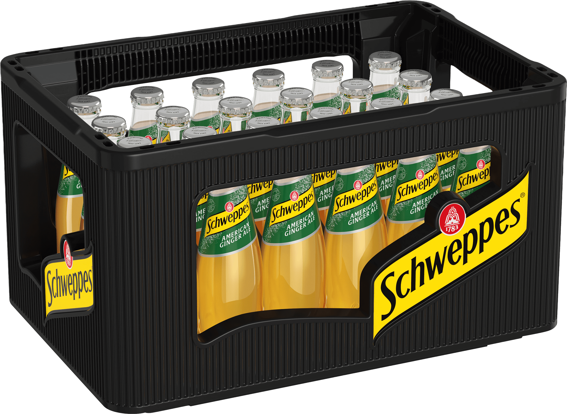 Schweppes American Ginger Glas (24 x 0.2 l)